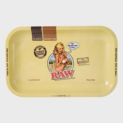RAW Printed Bikini Girl Metal Rolling Tray 27×17 cm